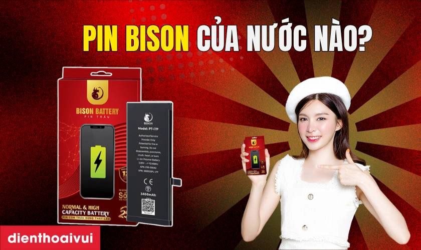Pin Bison của nước nào? Giới thiệu Pin Bison là gì?