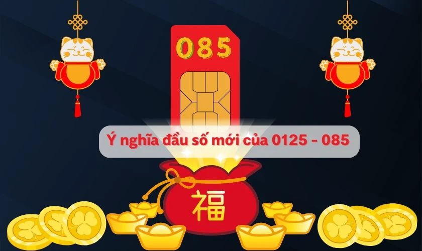 Ý nghĩa đầu số mới của 0125 đổi thành là gì