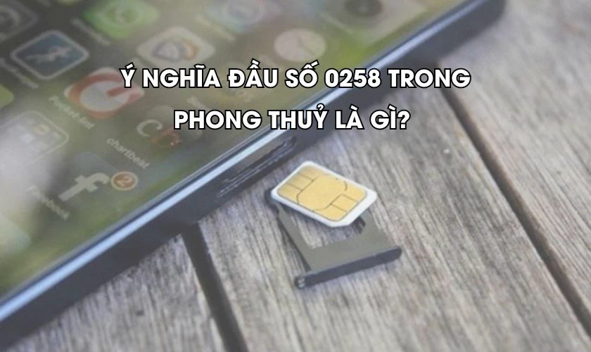 Đầu số 0258 mang ý nghĩa phong thủy tốt được sử dụng nhiều