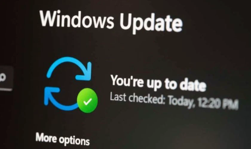 Cập nhật hệ điều hành mới nhất để không bị xung đột phần mềm