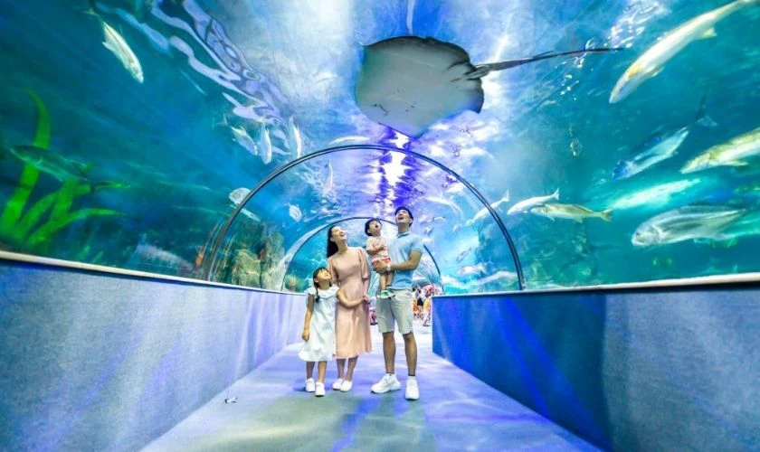 VinKE & Vinpearl Aquarium Times City