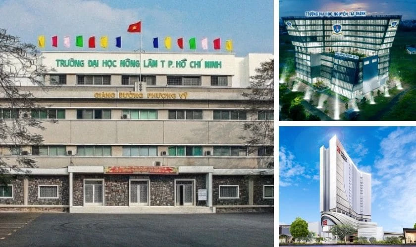 17 điểm khối B nên chọn trường nào