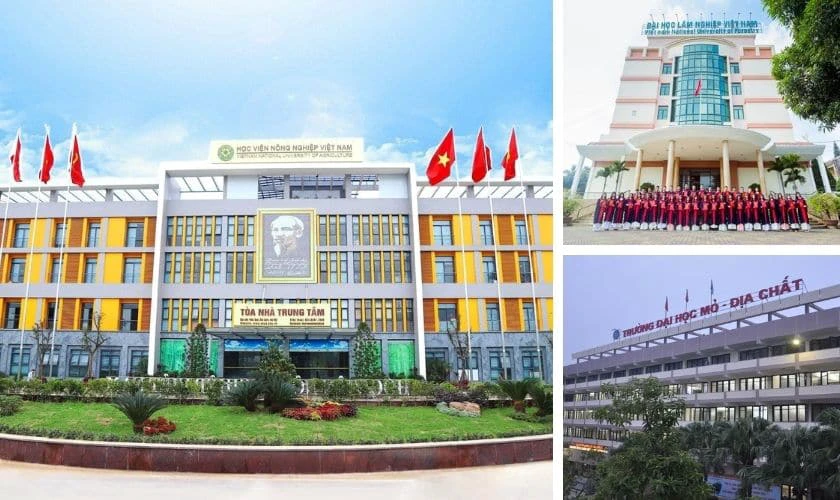 17 điểm khối B nên chọn trường nào ở Hà Nội