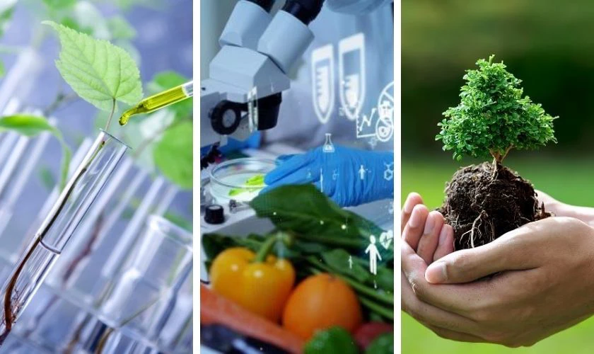 17 điểm khối B nên chọn ngành nào