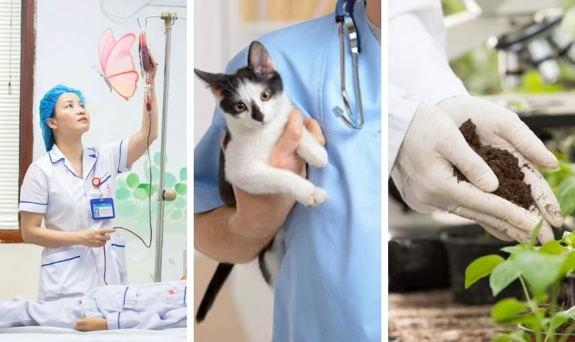 Cơ hội việc làm và tiềm năng ngành nghề