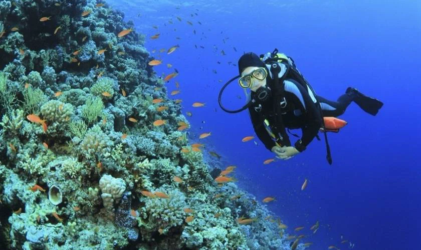 Ngành Hải dương học