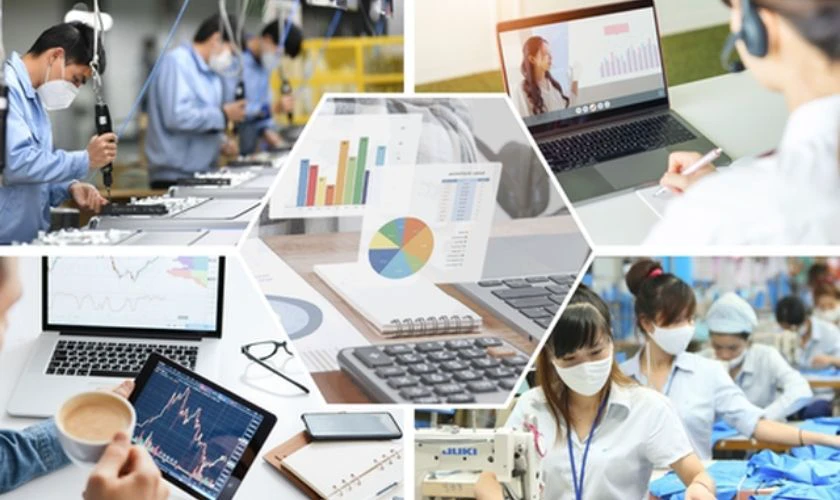 Cơ hội việc làm và xu hướng thị trường lao động