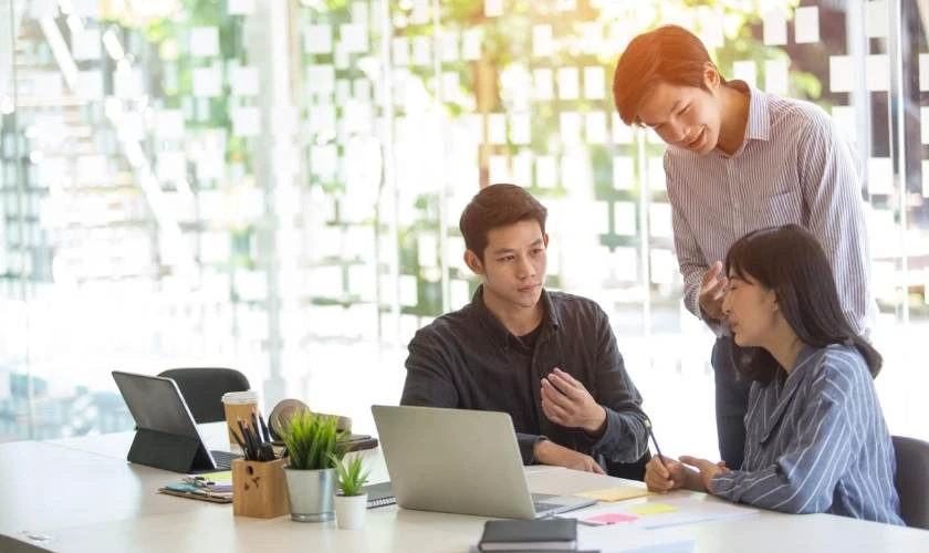 Cơ hội việc làm