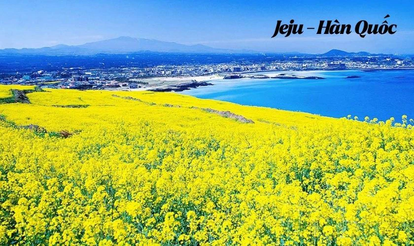 30/4 1/5 nên đi du lịch ở đâu nước ngoài - Jeju Hàn Quốc