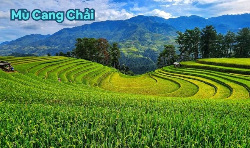 30/4 đi du lịch ở đâu - Mù Cang Chải - Tỉnh Lào Cai