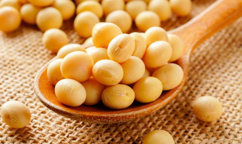 Đậu nành là một trong 5 loại đậu cúng vía Thần Tài