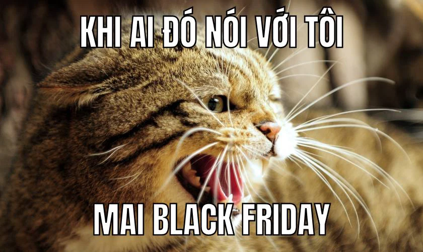 Ảnh chế hài hước cho Black Friday