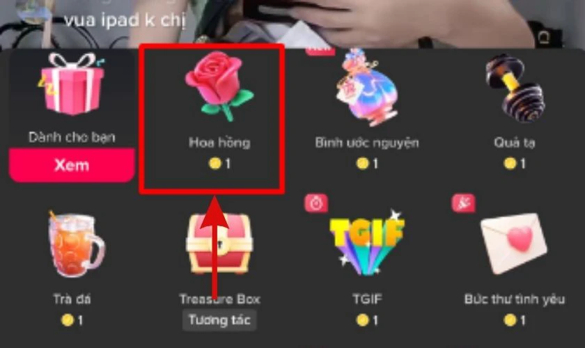 1 con sư tử, 1 bông hồng trên TikTok bao nhiêu tiền Việt Nam 