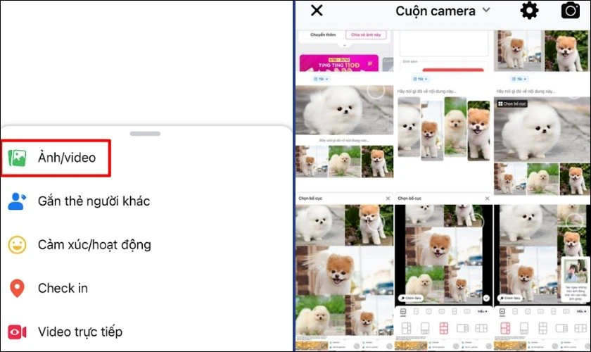 Chọn mục Ảnh/video và chọn những hình ảnh muốn đăng