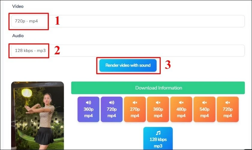 Chọn chất lượng và audio của video và nhấn Render video with sound