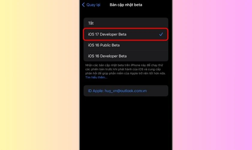 Chọn update iOS 17 Developer Beta