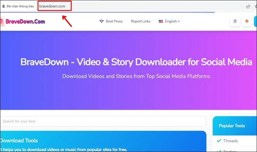 Truy cập đường link của trang web BraveDown