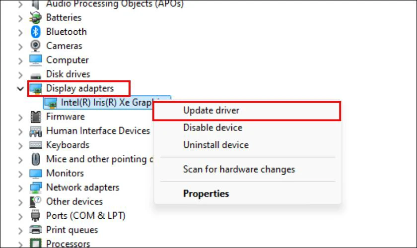 Nhấn chuột phải vào tên card đồ họa, sau đó chọn Update driver từ danh sách tùy chọn vừa hiển thị