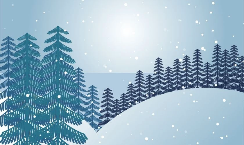 Ảnh vườn thông phủ tuyết