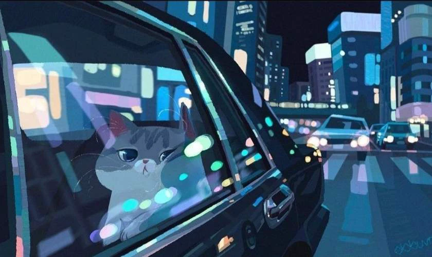 Ảnh bìa Zalo đẹp chú mèo