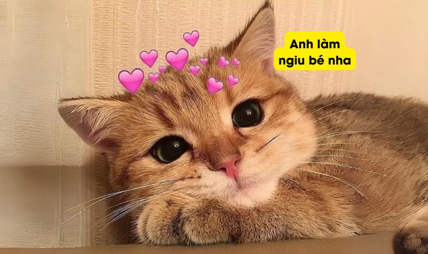 Meme lễ Thất tịch đáng yêu