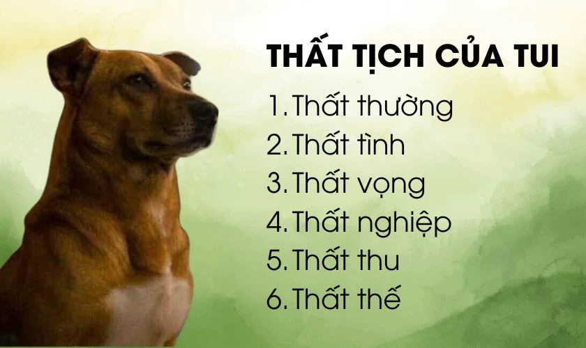 Ảnh chế chủ đề Thất tịch gửi bạn bè, người F.A