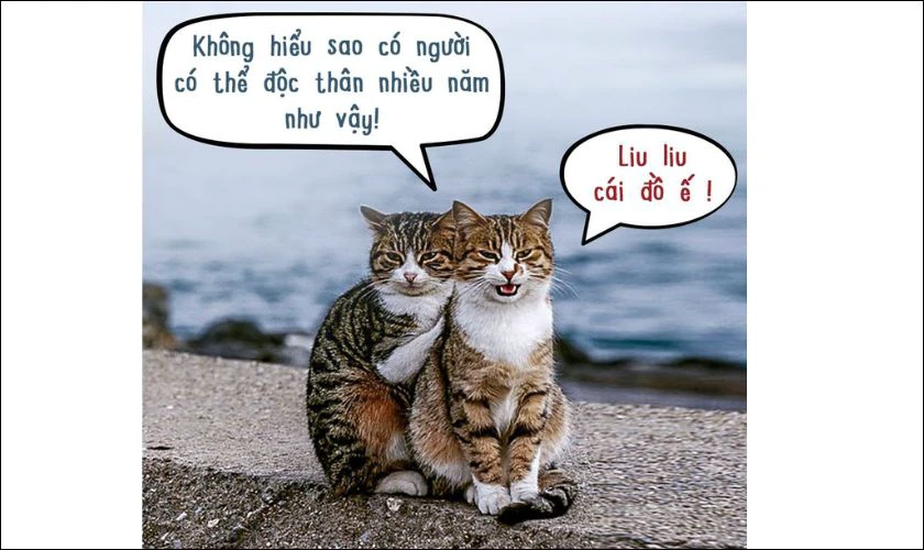 Meme chủ đề Thất tịch vui nhộn