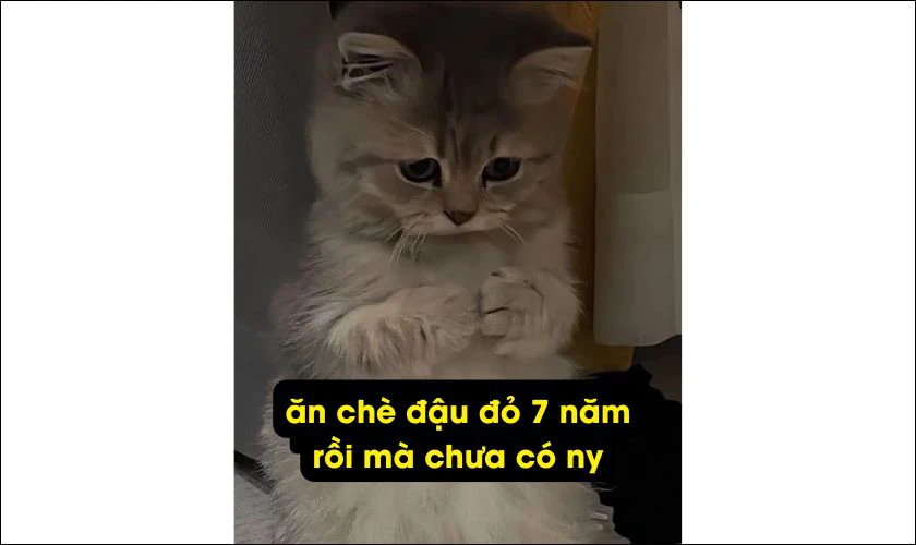 Meme lễ Thất tịch vui nhộn