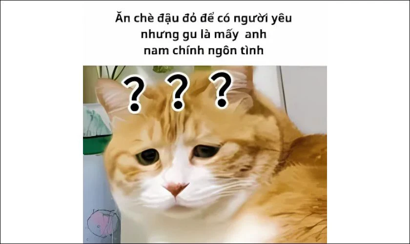Meme ngày Thất tịch vui nhộn