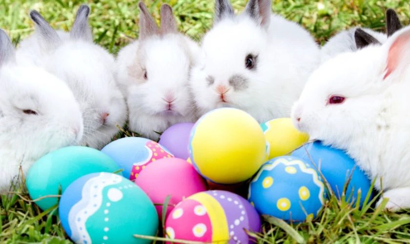 Ảnh Lễ Phục Sinh 2026 thỏ và trứng