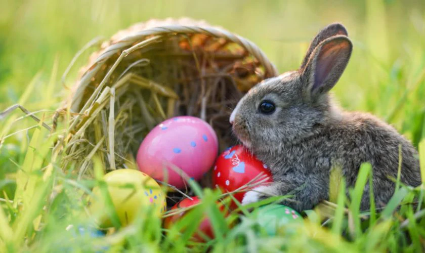 Ảnh Lễ Phục Sinh 2026 thỏ và trứng đáng yêu