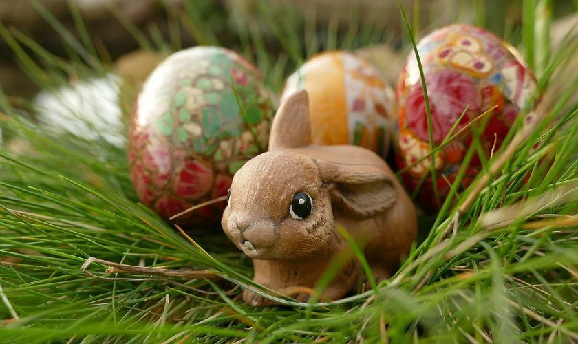 Mô hình chú thỏ đẹp