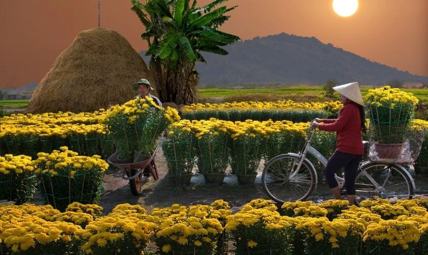 Ảnh Tết phong cách nghệ thuật 2026