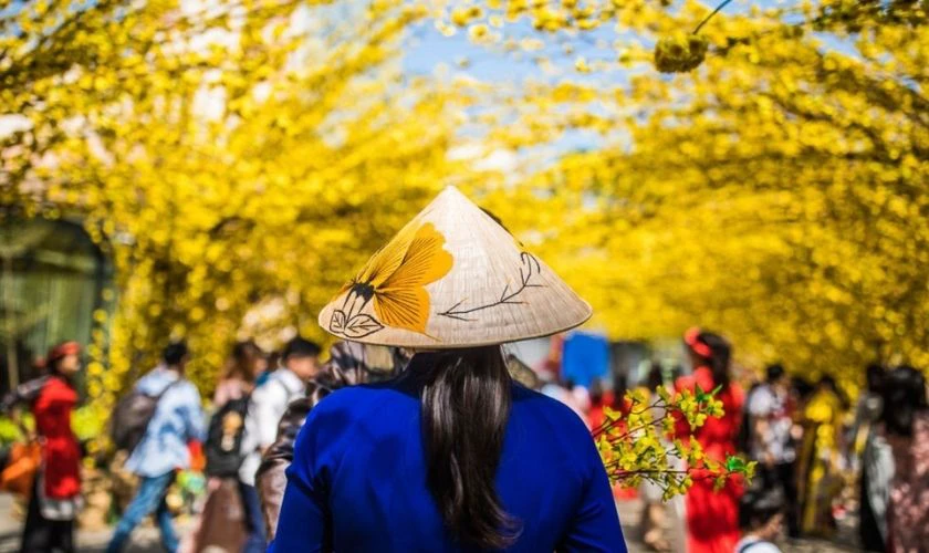 Cô gái và vùng trời mai vàng