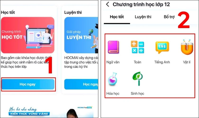 App sẽ gợi ý các lộ trình theo khối A, B, C, D