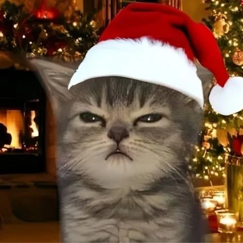 Avatar Noel hình chó, mèo đáng yêu