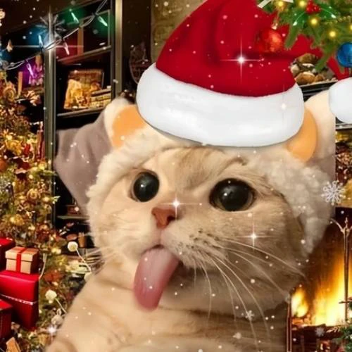 Avatar Noel hình chó, mèo đẹp