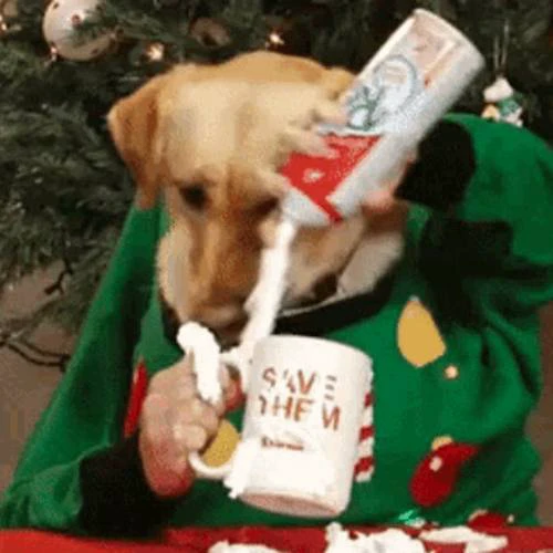 Avatar Giáng sinh hình chó, mèo đẹp, cute