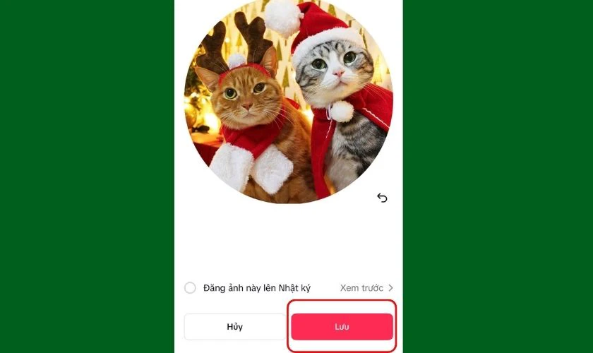 Đặt avatar mèo Giáng sinh trên TikTok