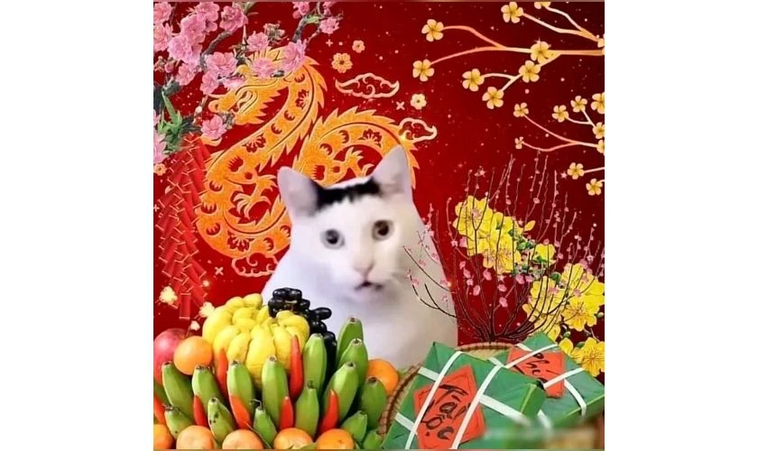 Avatar Tết vô tri