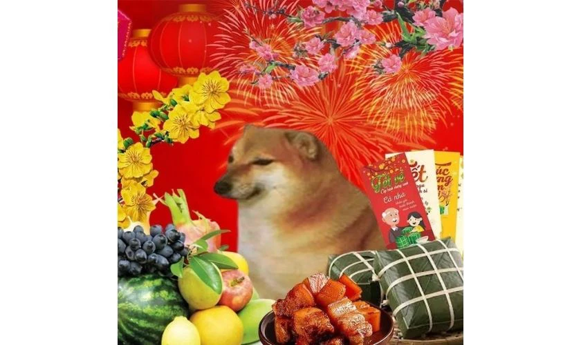 Avatar Tết hài bựa