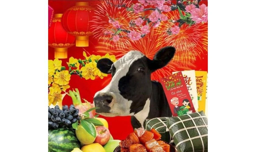 Ảnh đại diện Tết vô tri, hài bựa