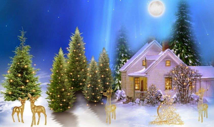 Background Noel 2025 độc đáo