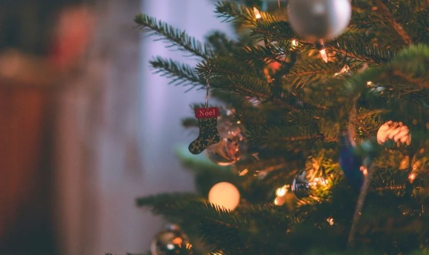 Background Noel 2025