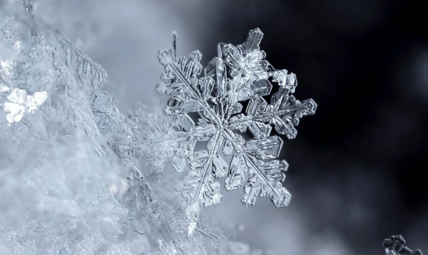 Background Noel năm nay hoa tuyết