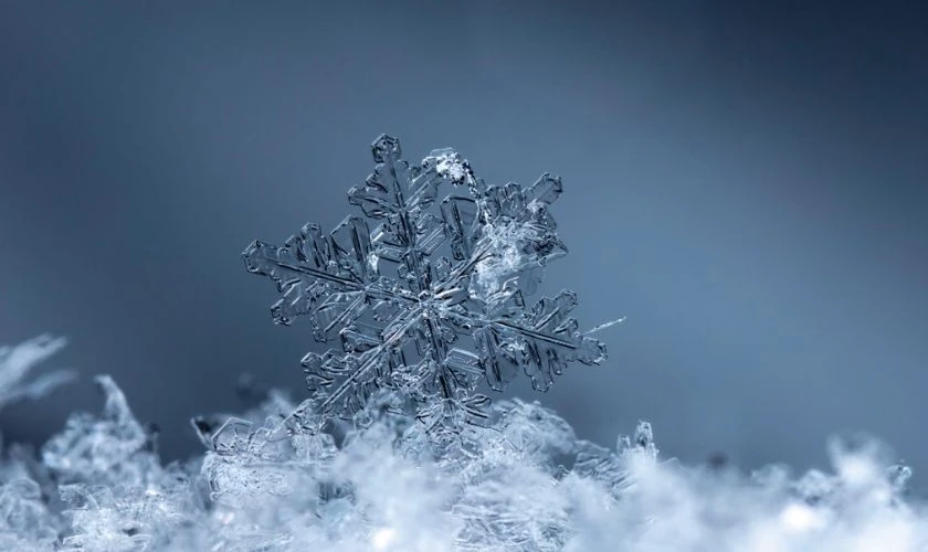 Background Noel năm nay HD