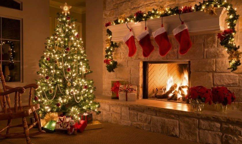 Background cây thông Noel