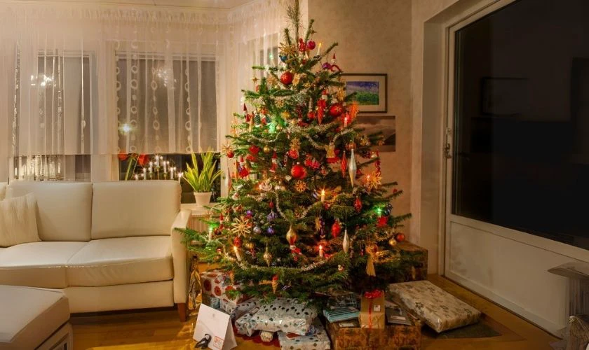 Background cây thông Noel đẹp