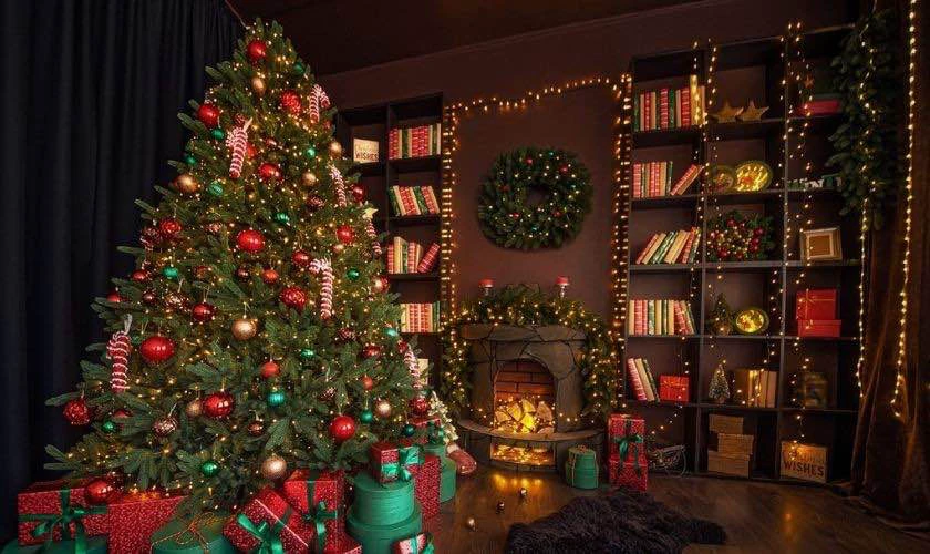 Background cây thông Noel xinh