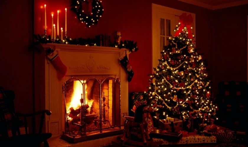 Background cây thông Noel mờ ảo